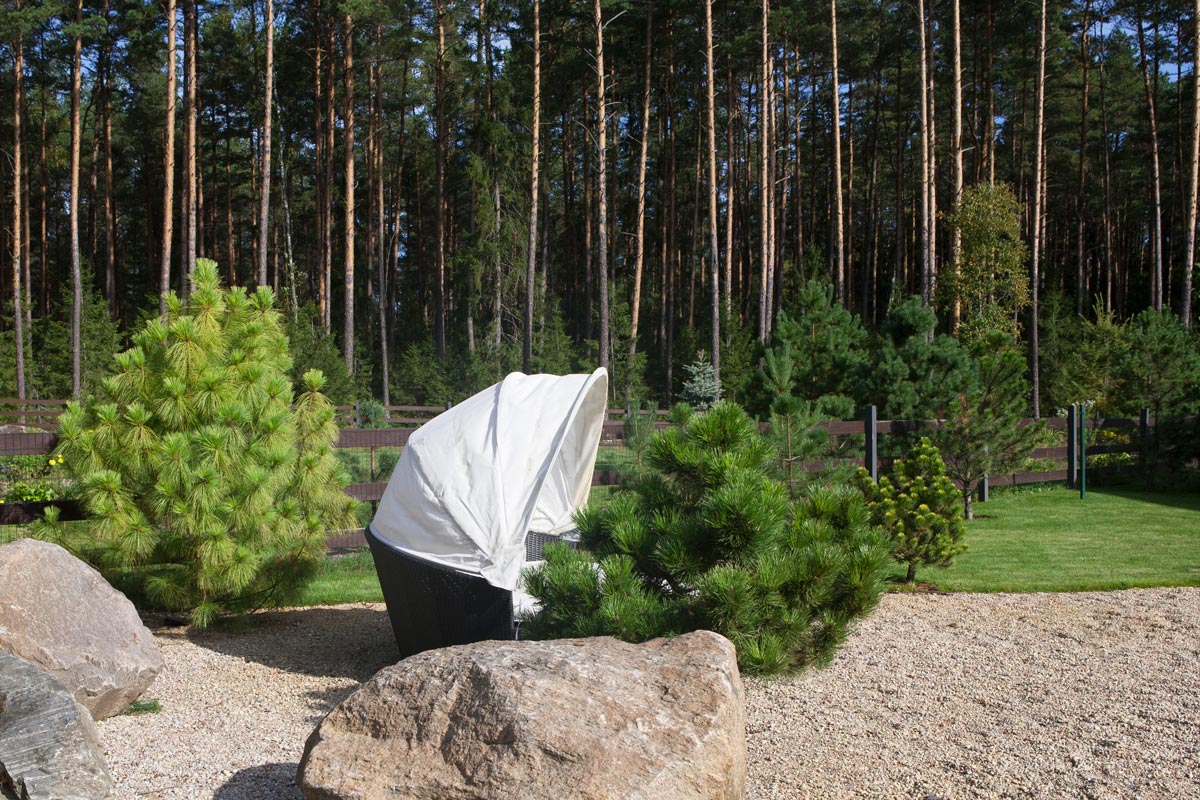 A house on the edge of a pine forest